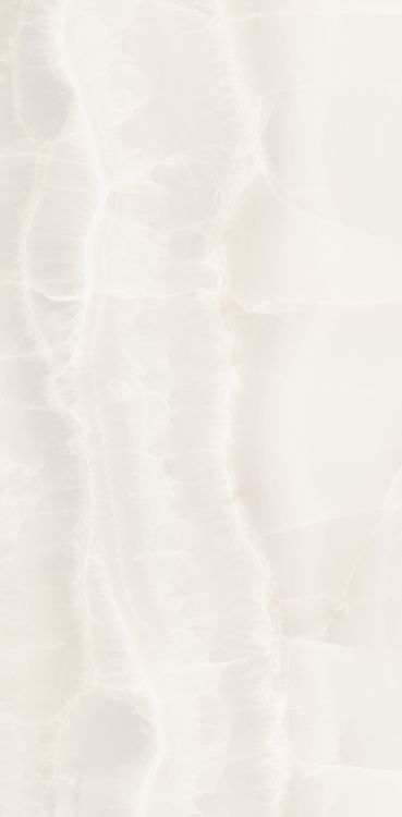 Akoya White Polished 12 x 24